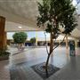 Arrowhead Mall