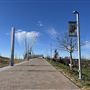 Skydance Bridge