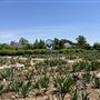 Will Rogers Gardens