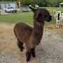Stone Bluff Ranch