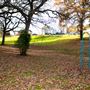 Dewberry Park