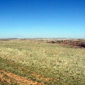 Roark Ranch