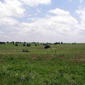 Rocking Chair Ranch