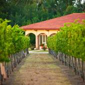 Ingel's Winery