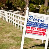 Benson Park Pecans