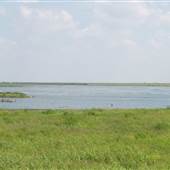 Hackberry Flat