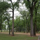 Dolese Youth Park