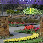 Tulsa Botanic Garden