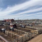 Oklahoma National Stockyard Exchange