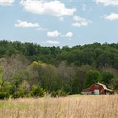 N Pumpkin Hollow Barn