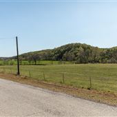 Proctor Rd
