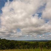Open Land Adair County