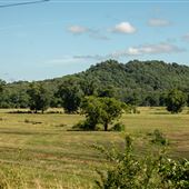 Davis Mountain