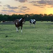 Long Farm (Skiatook)