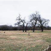 Cemetery