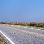 Afton Cornfields