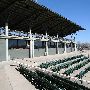 David Allen Memorial Ballpark