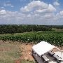 Greenfield Vineyard and Winery