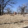 Mineral Wells Park