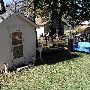 Young House