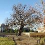 Oklahoma City National Memorial & Museum