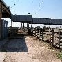 Oklahoma City Stockyards