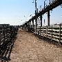 Oklahoma City Stockyards