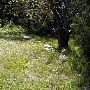 Wright's Cemetery