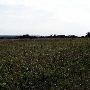 Tatanka Ranch