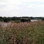 Tatanka Ranch