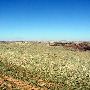 Roark Ranch