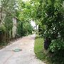 Mesta Park Historical Neighborhood