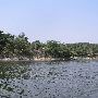 Grand Lake