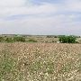 Sugarloaf Ranch
