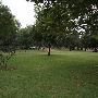 University of Science and Art Oklahoma