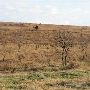 Hughes Ranch