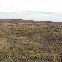 Hughes Ranch