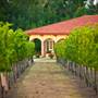 Ingel's Winery