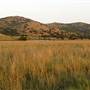 Mount Scott