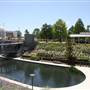 Myriad Botanical Gardens