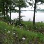 Okmulgee & Dripping Springs Lake & Recreation Area