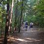 Beavers Bend & Hochatown State Park Lodge