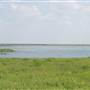 Hackberry Flat