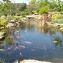 Linnaeus Garden