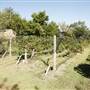 Stable Ridge Vinyards