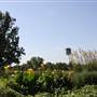 Silvertop Farm & Vineyards