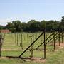 Silvertop Farm & Vineyards