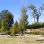 Centennial Park