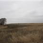 Nightmare in the Country - Kenton Ranch