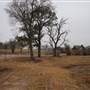 Field Station Lake (Experiment Lake)